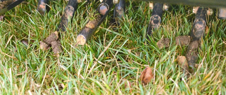 Aerator on a lawn in Kingwood, TX.
