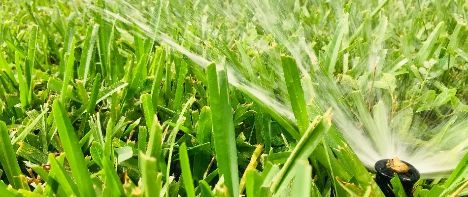 Closeup of a sprinkler spraying water on grass in Huffman, TX.