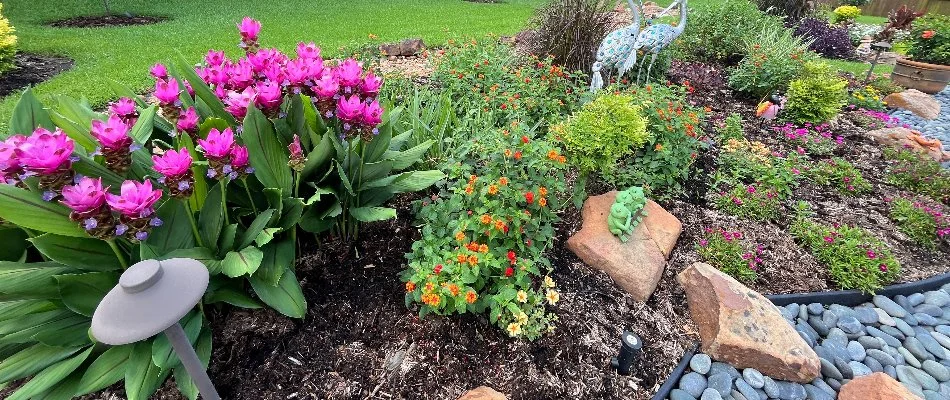 Colorful plants and flowers in a garden bed in Kingwood, TX.