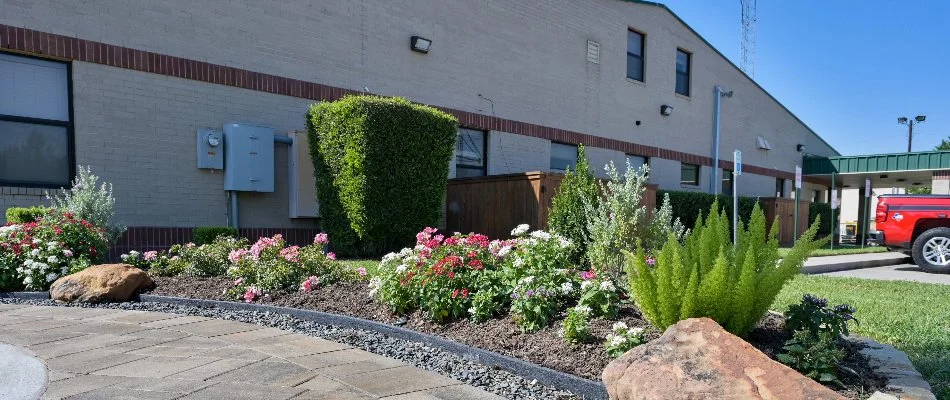 Flowers, plants, and trimmed shrubs in Kingwood, TX.