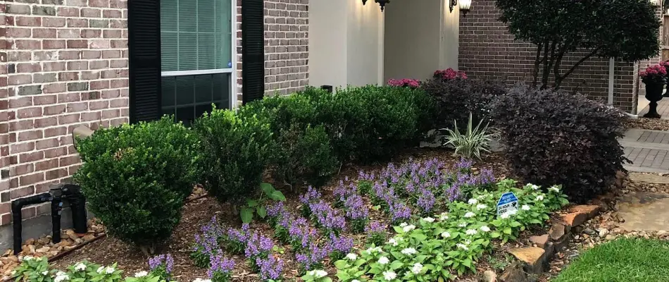 Front landscape in Kingwood, TX, with flowers and shrubs.