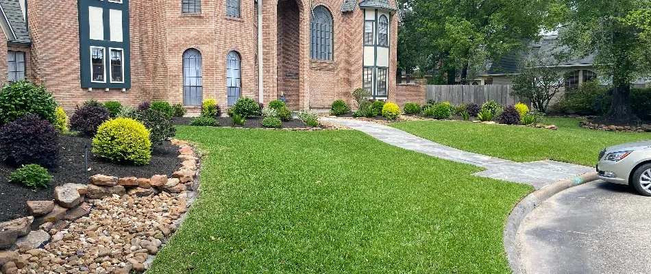 Front yard in Humble, TX, with healthy grass and plants.