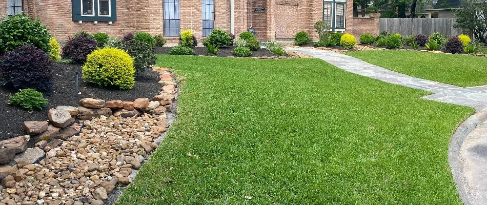 Green grass and neat healthy shrubs in Spring, TX.