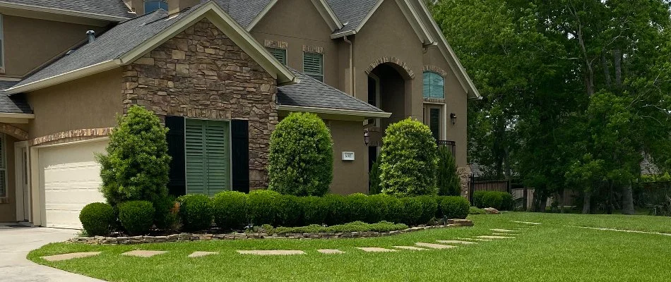 Healthy neat shrubs in Kingwood, TX.