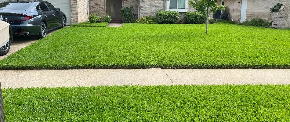 House in Kingwood, TX, with a vibrant front lawn and sidewalk.