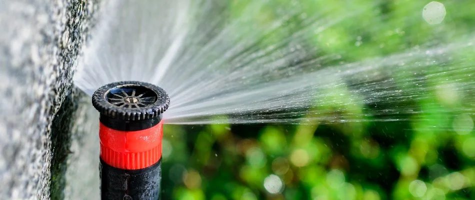 Irrigation sprinkler head in Spring, TX, releasing water.