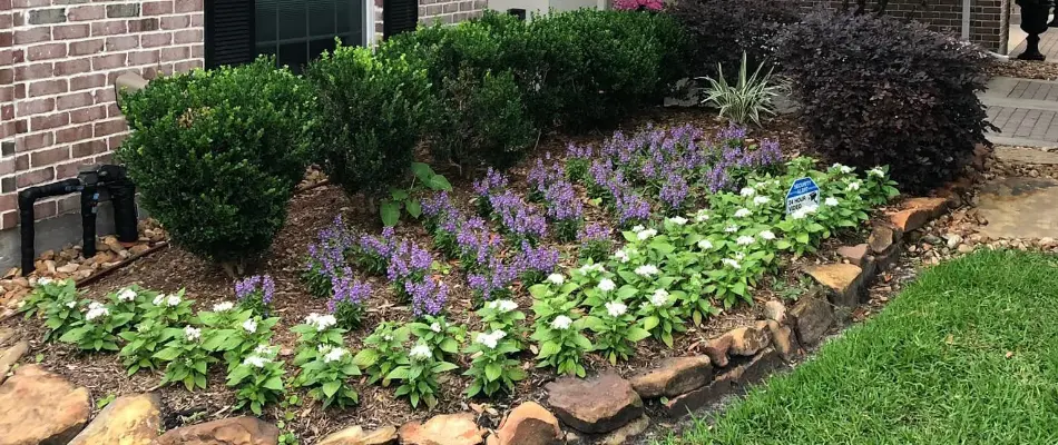 Landscape bed in Kingwood, TX, with a rock border, flowers, and shrubs.