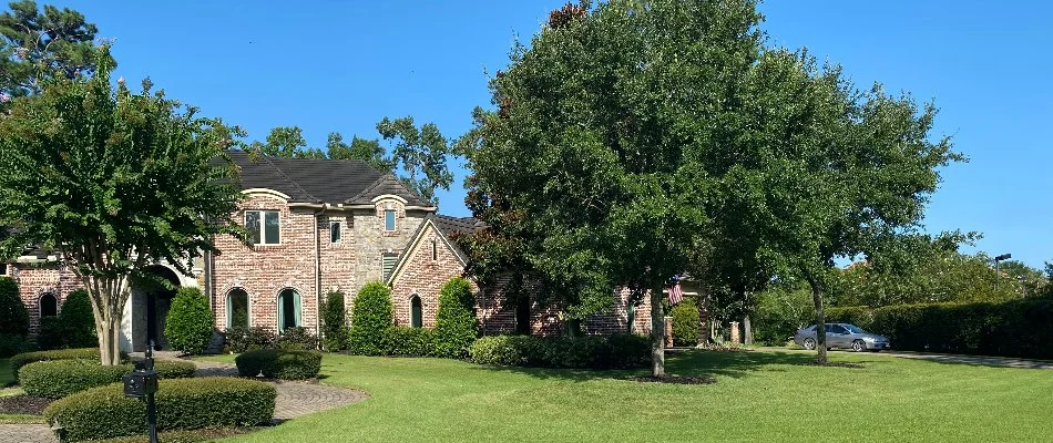 Large and small trees on a front lawn in Kingwood, TX.