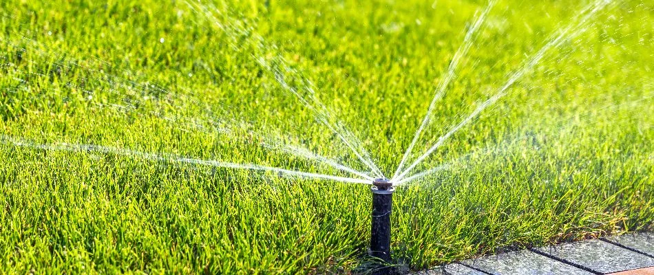 Lawn in Atascocita, TX, with irrigation sprinkler head.