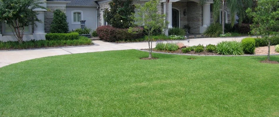 Lawn in Atascocita, TX, with trees and shrubs.