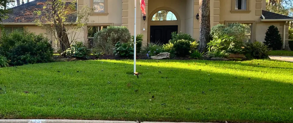 Lush grass and shrubs in Crosby, TX.