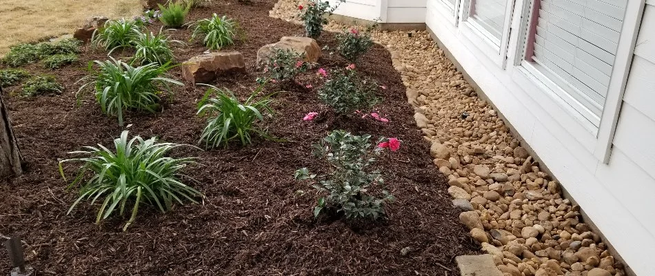 Mulch bed in Kingwood, TX, with plants and a dry creek bed.