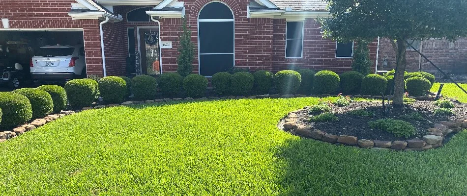 Neatly shaped shrubs along the front of a house in Kingwood, TX.