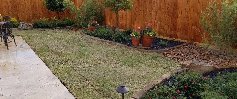 Newly installed sod between a patio and plant beds in Kingwood, TX.