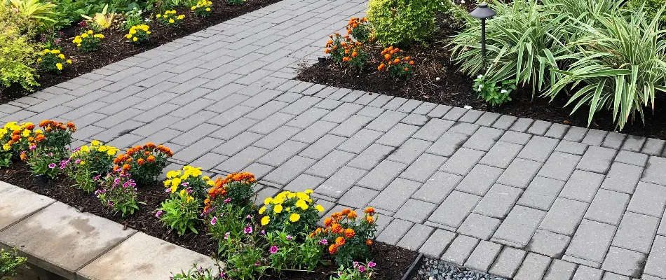 Paver walkway in Kingwood, TX, lined with flowers.