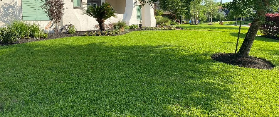 Plants around a green front lawn in Kingwood, TX.