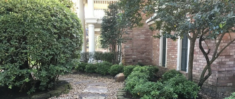 Small tree and dense shrubs in Huffman, TX.