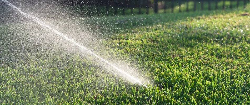 Sprinkler watering grass in Kingwood, TX.