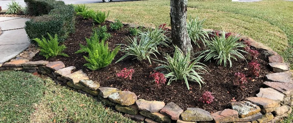 Stone-lined garden bed in Kingwood, TX, with mulch and plants.