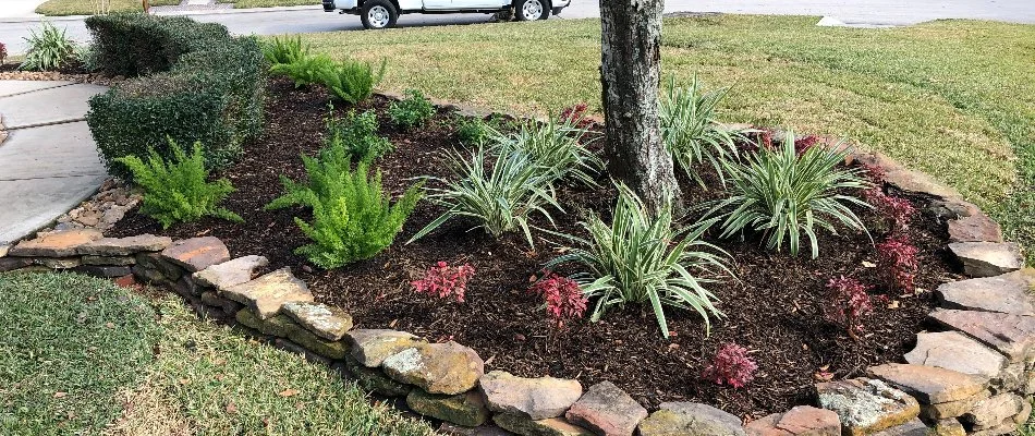 Stones around a landscape bed with plants in Kingwood, TX.