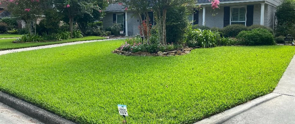 Vibrant front lawn in Kingwood, TX, with plants.