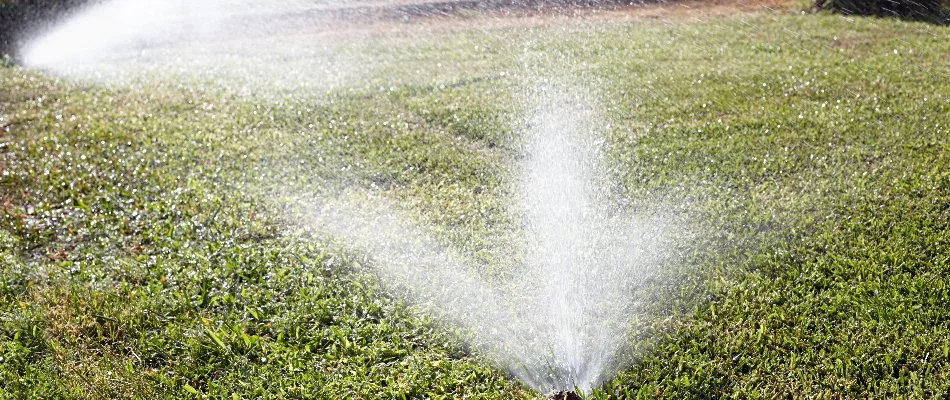 Water spraying on a lawn in Humble, TX, from sprinklers.